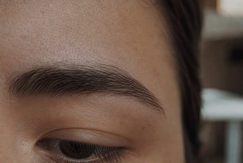 Calm close-up of a brow in recovery